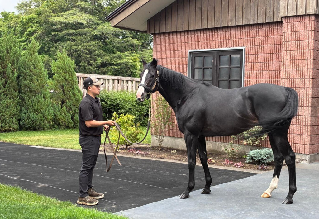 Equinox and Groom