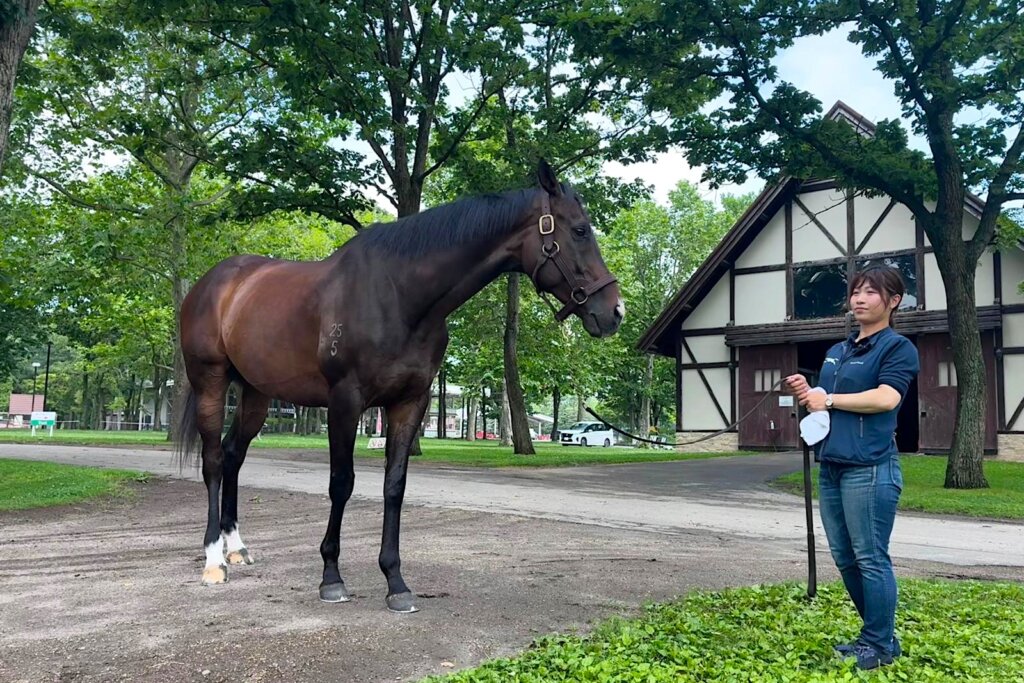 Golden Sixty outside his barn at Northern Horse Park