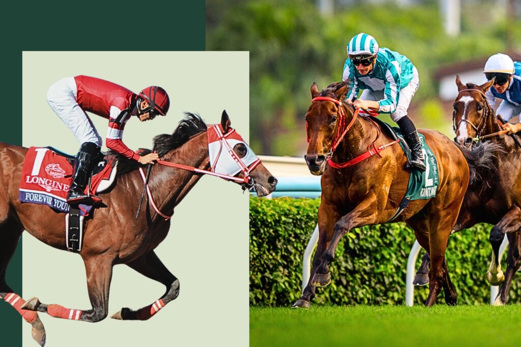 JRA expands overseas betting menu to include Group 1s in Hong Kong, Australia and elsewhere