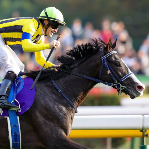 Masquerade Ball wins the G1 Tenno Sho (Autumn) for Christophe Lemaire