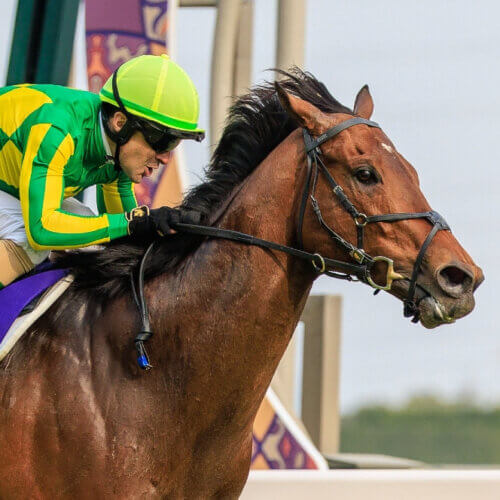 Christophe Lemaire and Satono Reve