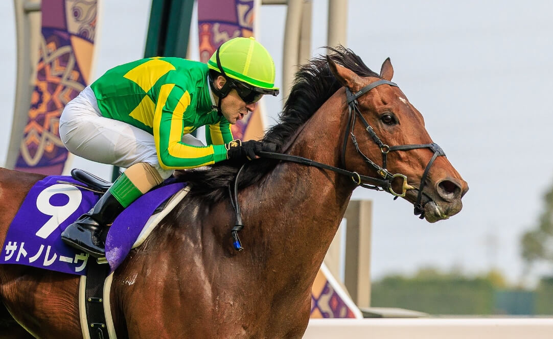 Christophe Lemaire and Satono Reve winning the G1 Takamatsunomiya Kinen