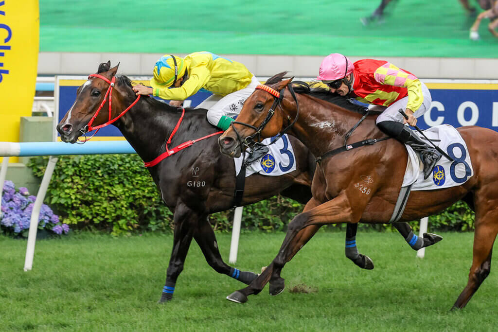 Lucky Sweynesse claims the G2 Chairman's Trophy at Sha Tin
