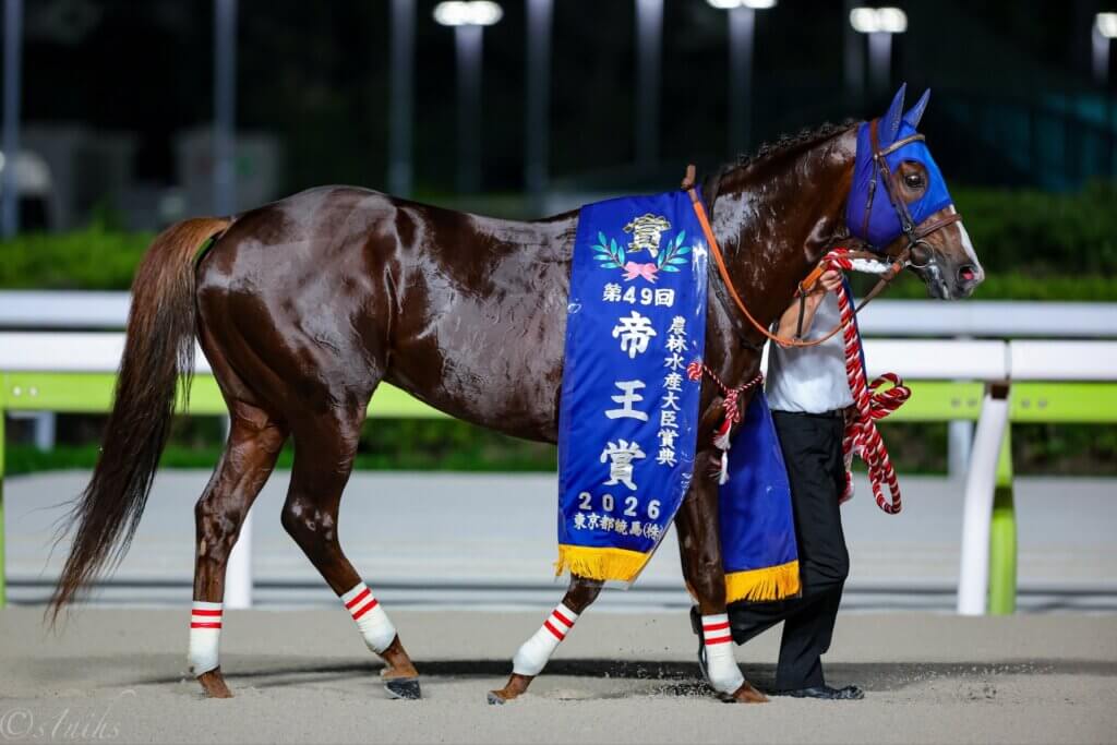 Mikki Fight after winning the Jpn1 Teio Sho at Oi under Keita Tosaki