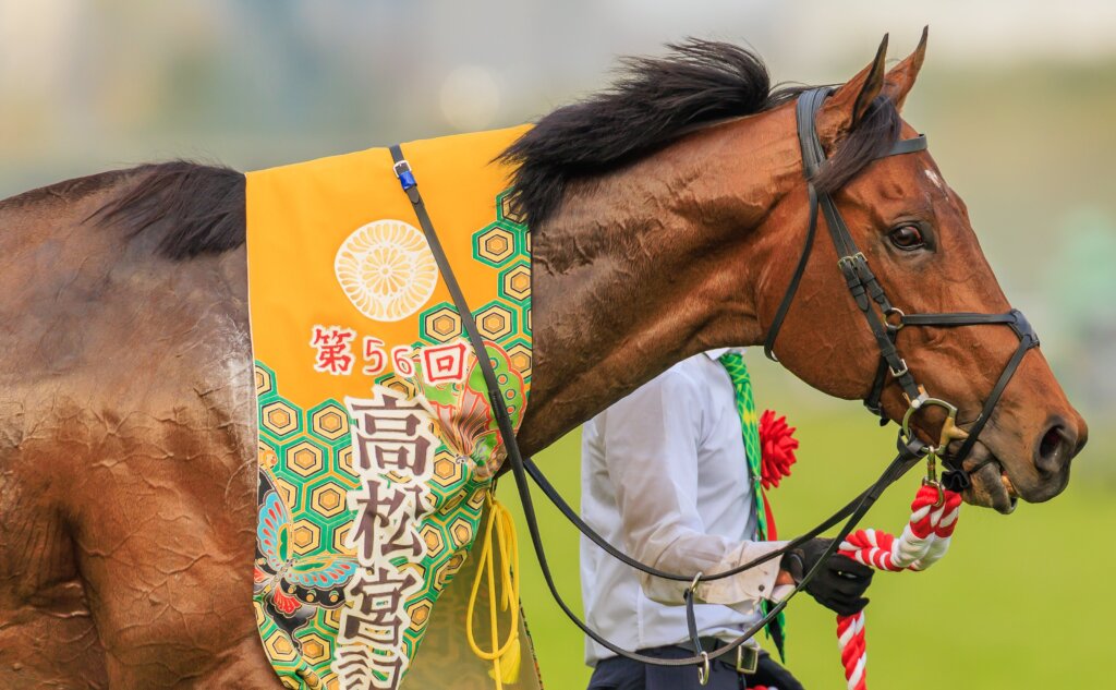 Satono Reve after winning the Takamatsunomiya Kinen