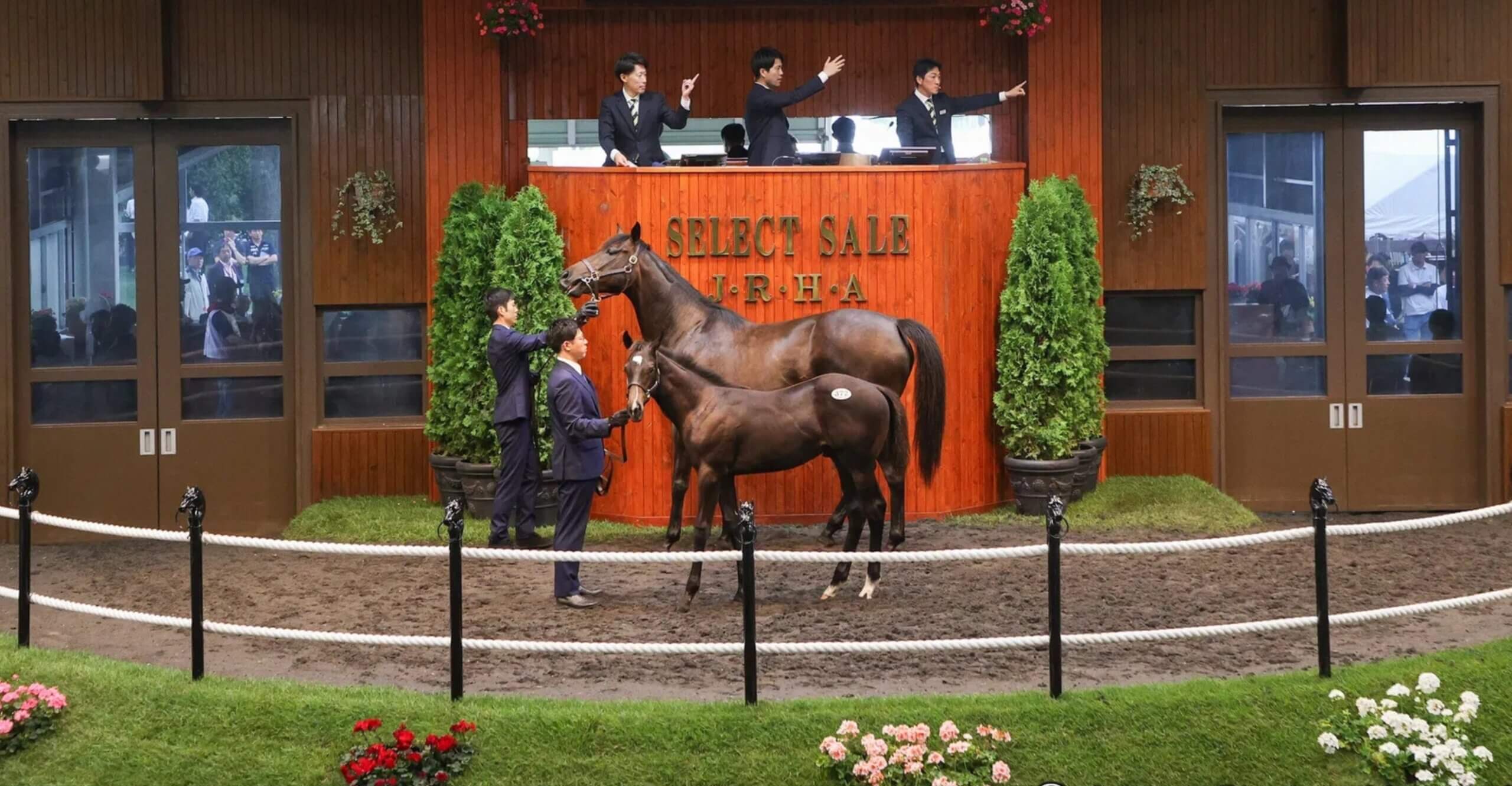 Daring Tact and foal in the ring at the 2026 Select Sale in Japan