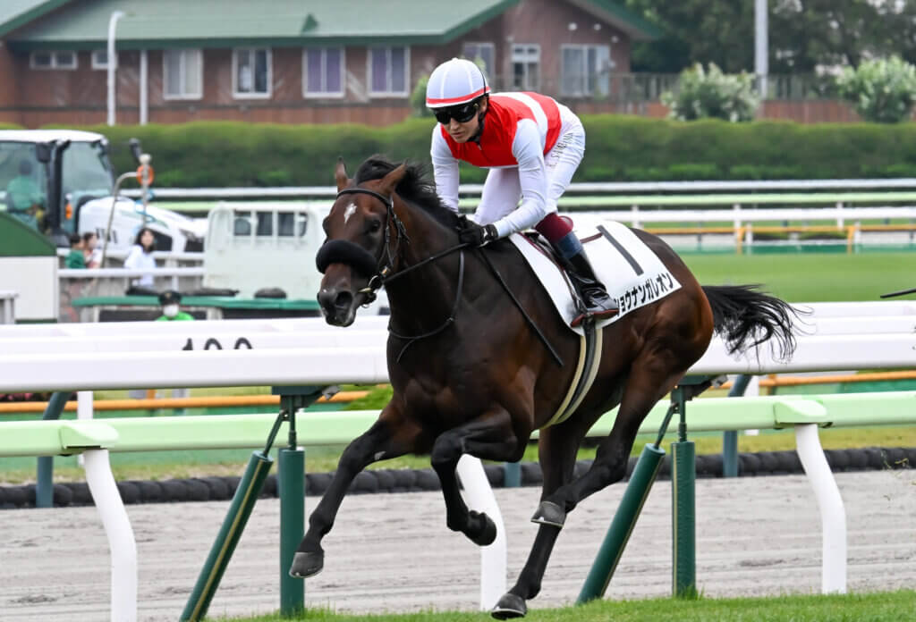 Shonan Galleon effortlessly winning a newcomer race at Hakodate