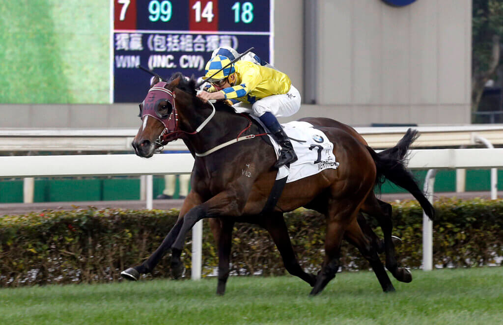 Werther winning the 2016 Hong Kong Derby under Hugh Bowman at Sha Tin