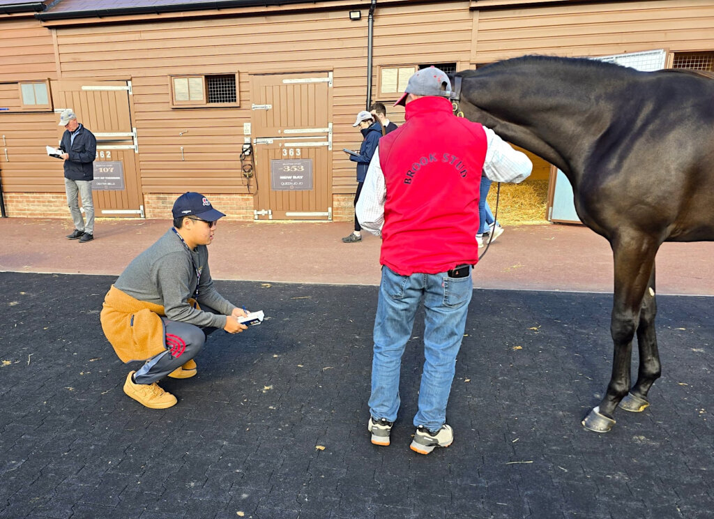 Alex So examining a horse