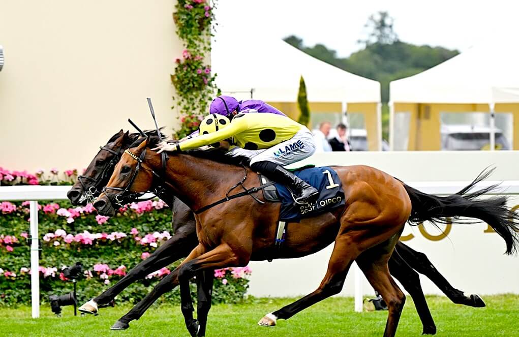 Bow Echo winning the G1 St James's Palace Stakes under Billy Loughnane