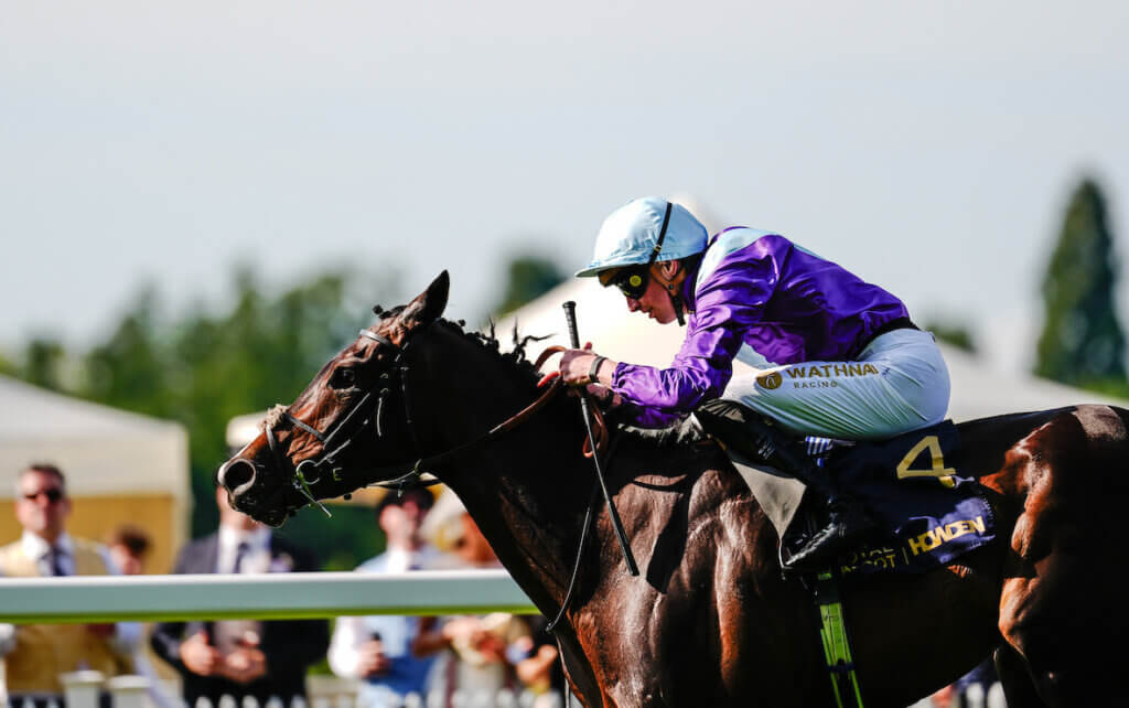 Generic winning the Hampton Court Stakes at Ascot