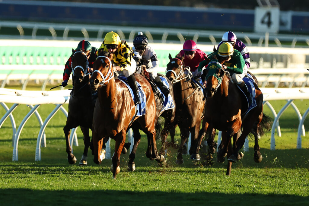 Autumn Glow beating Sheza Alibi in the G1 Winx Stakes