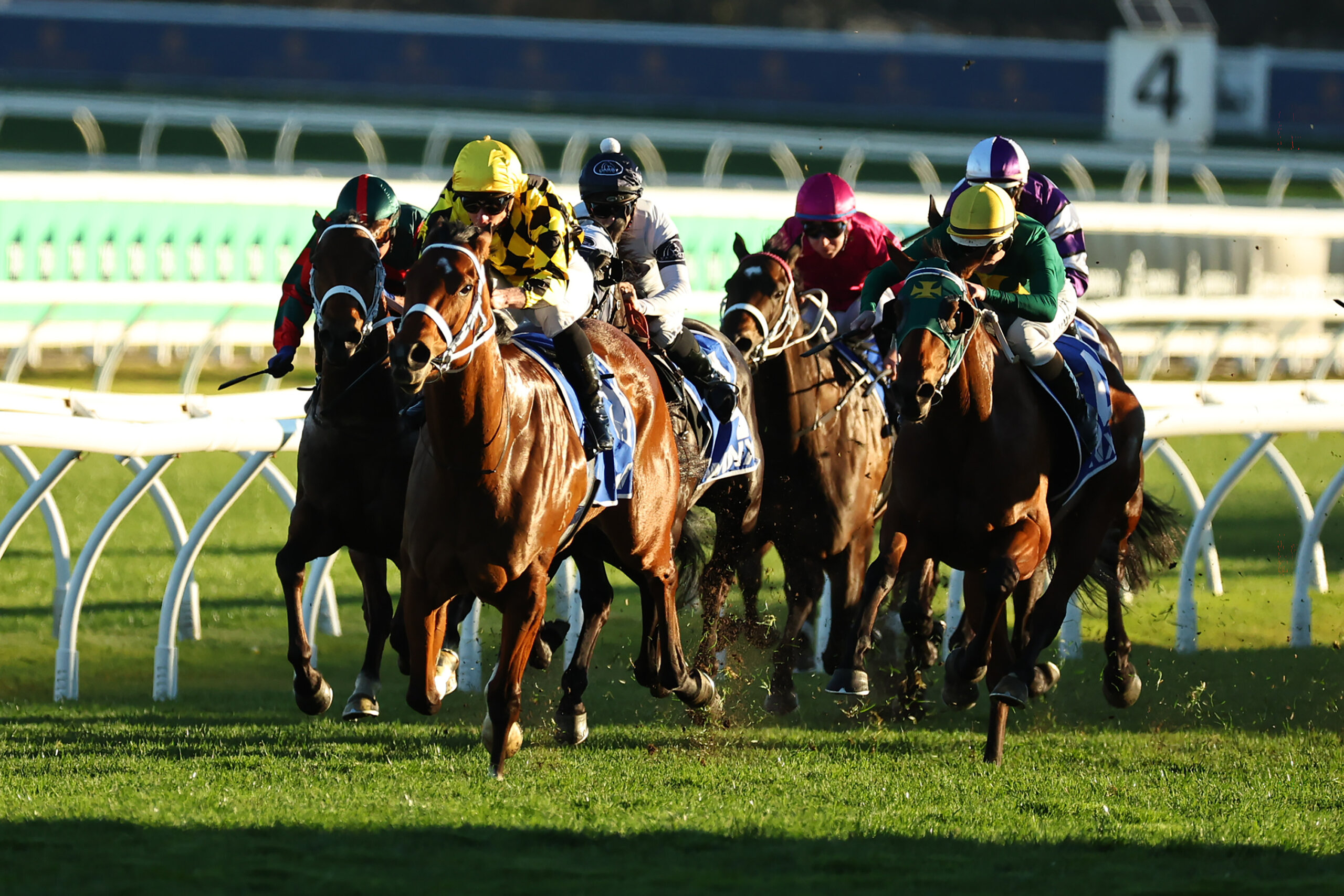 Autumn Glow beating Sheza Alibi in the G1 Winx Stakes