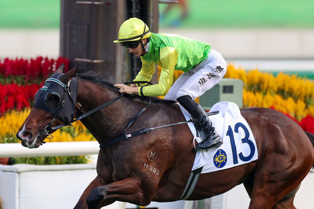 Tomodachi Kokoroe winning the G2 Premier's Bowl under Harry Bentley
