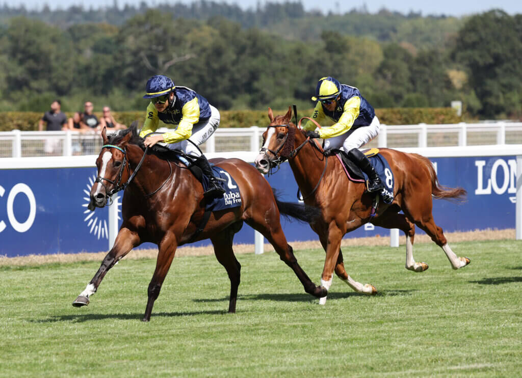 Jerry Chau winning aboard Tuca Salamanca during the Shergar Cup