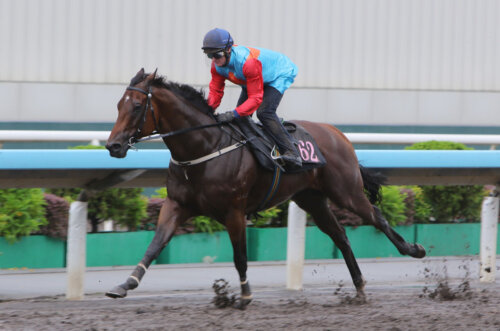 Zac Purton and Ka Ying Rising trialling at Sha Tin