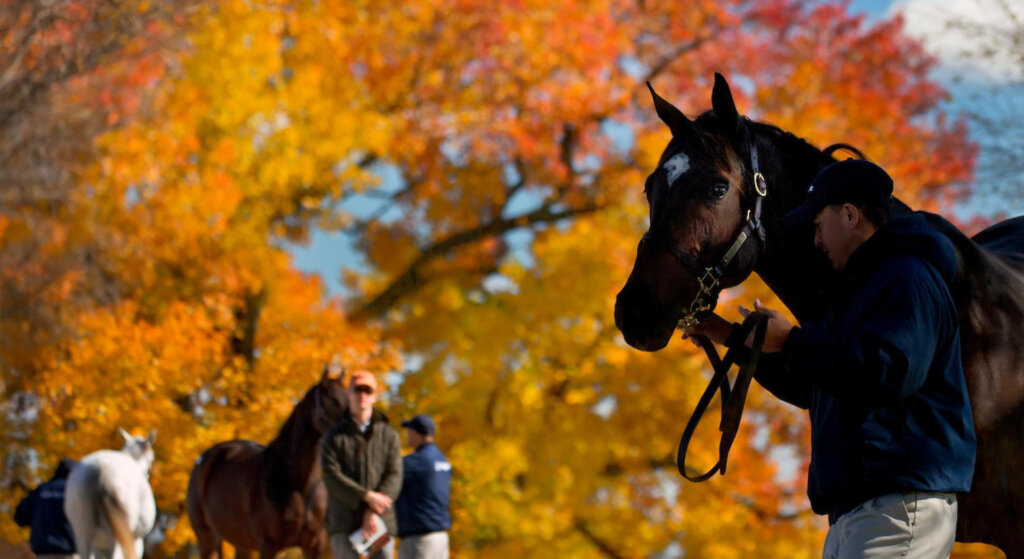 Keeneland September Yearling Sale 2026