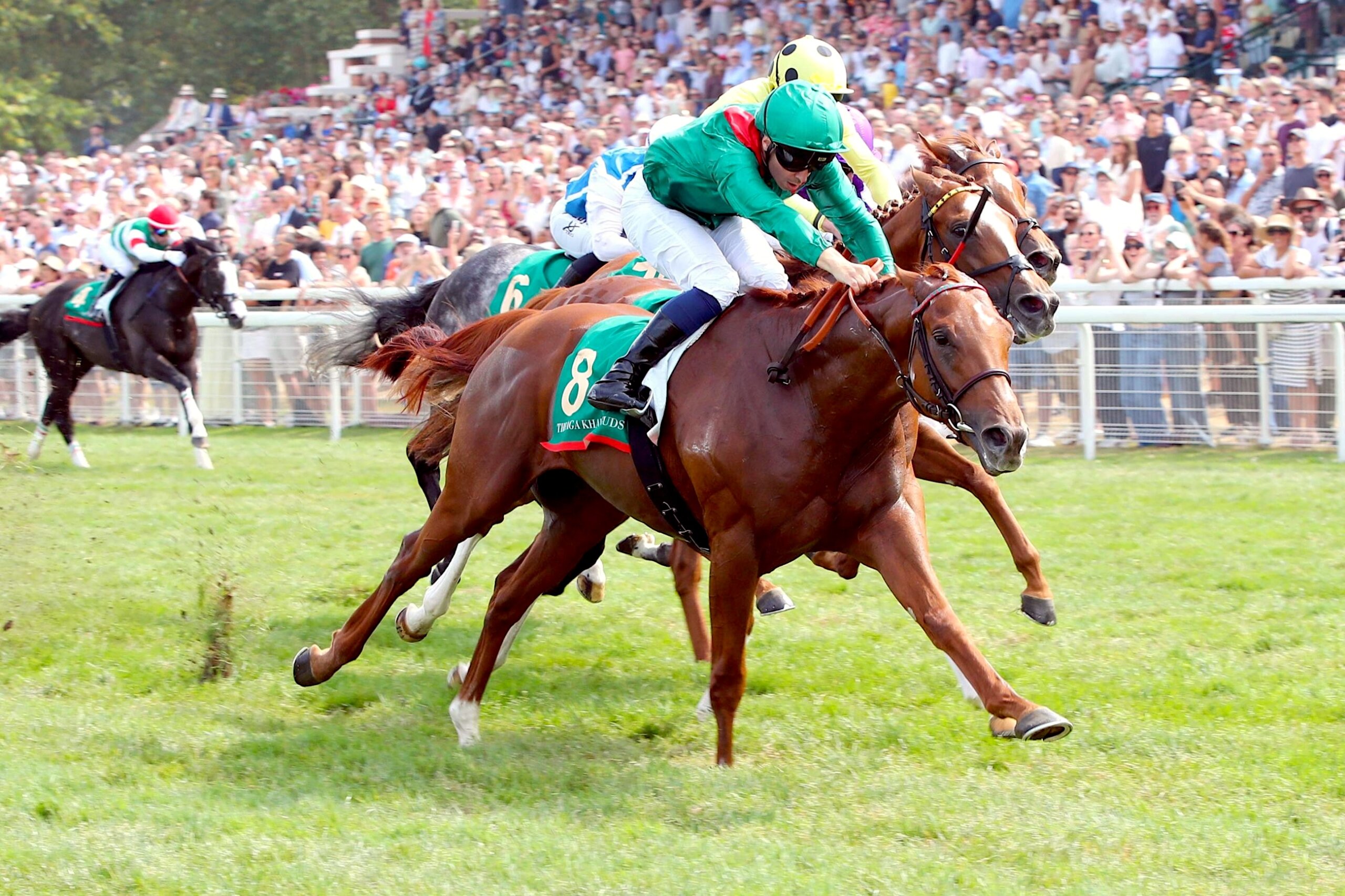 Rayif winning the G1 Prix Jacques Le Marois