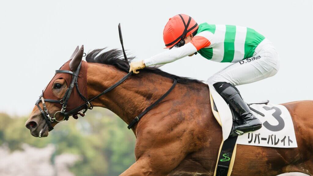 Daisuke Sasaki aboard Reverberate