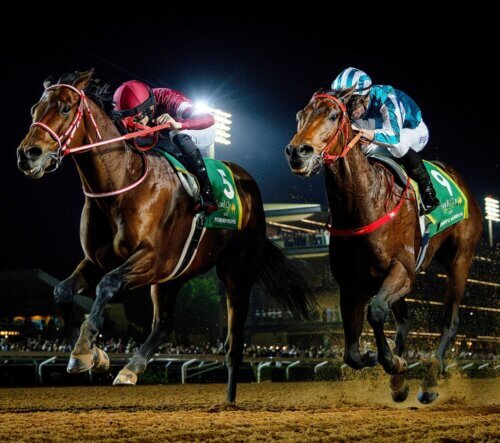 Saudi Cup finish between Forever Young and Romantic Warrior