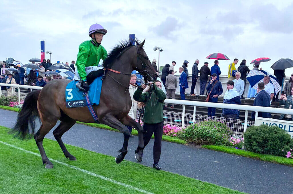 Tattycoram momentarily exploding pre-race at York