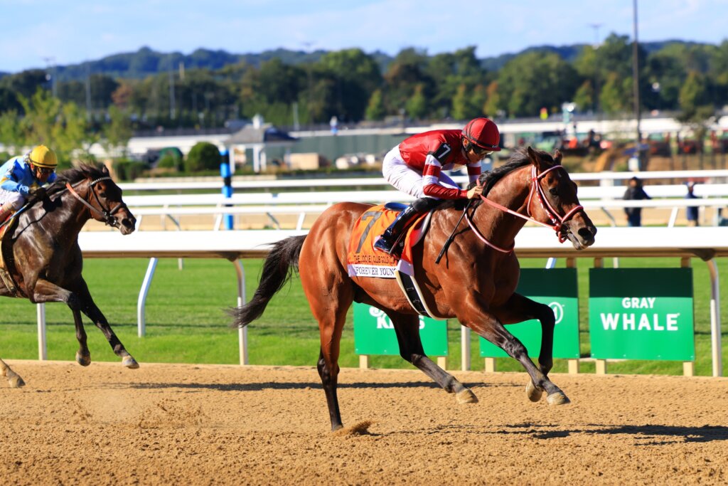 Forever Young winning the G1 Jockey Club Gold Cup at Belmont Park