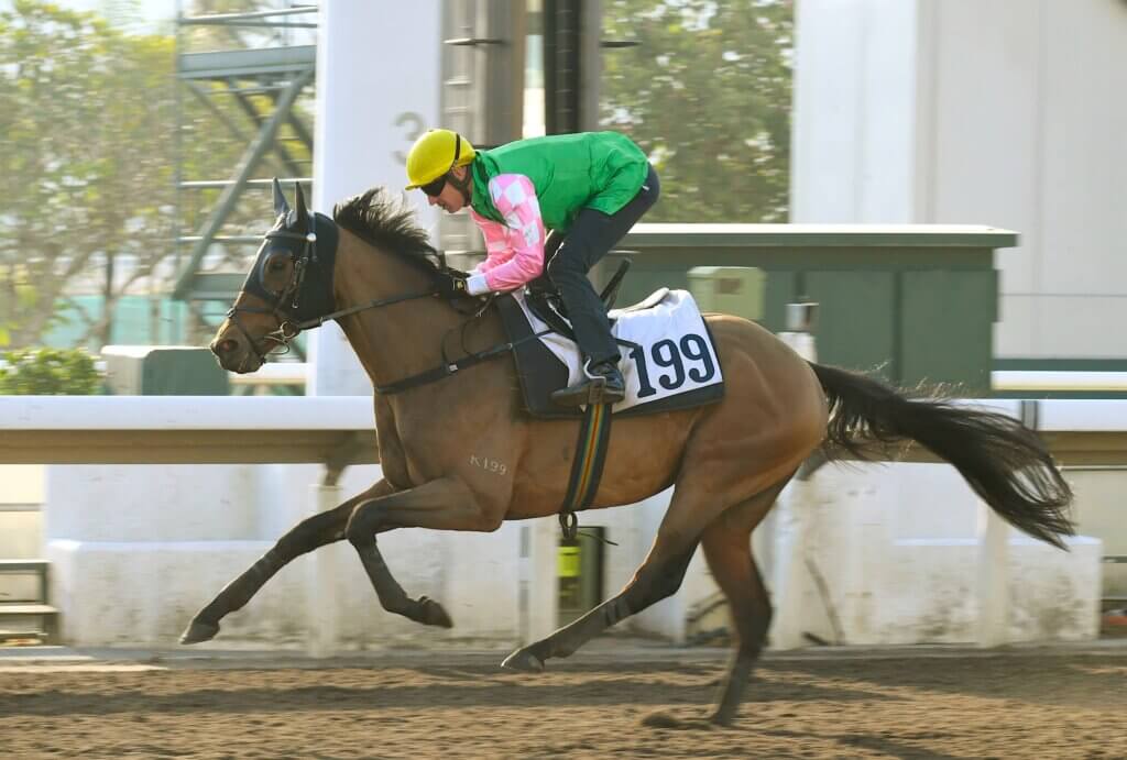 Hugh Bowman trialling Ghorgan at Sha Tin