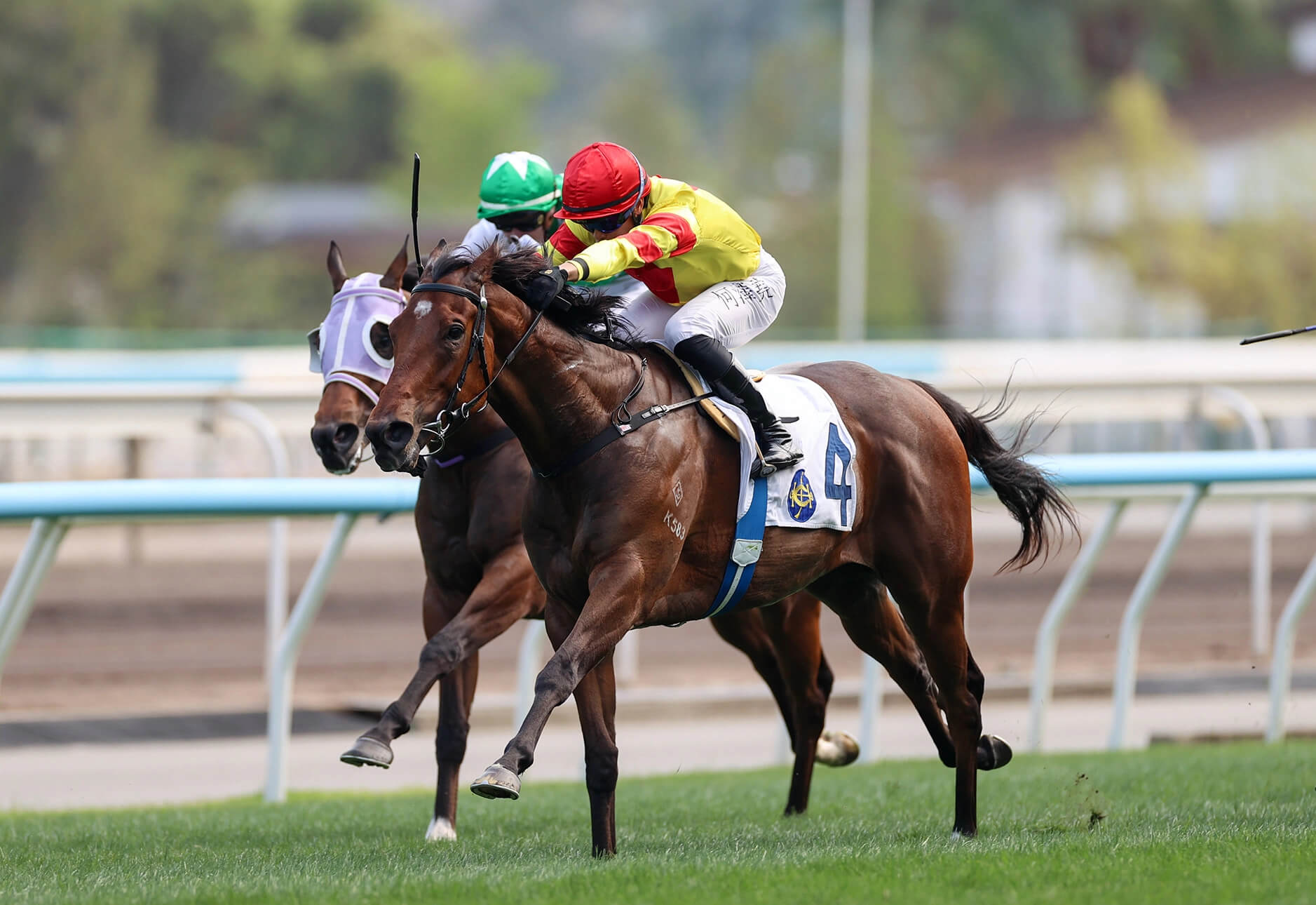 Vincent Ho winning on Hot Delight
