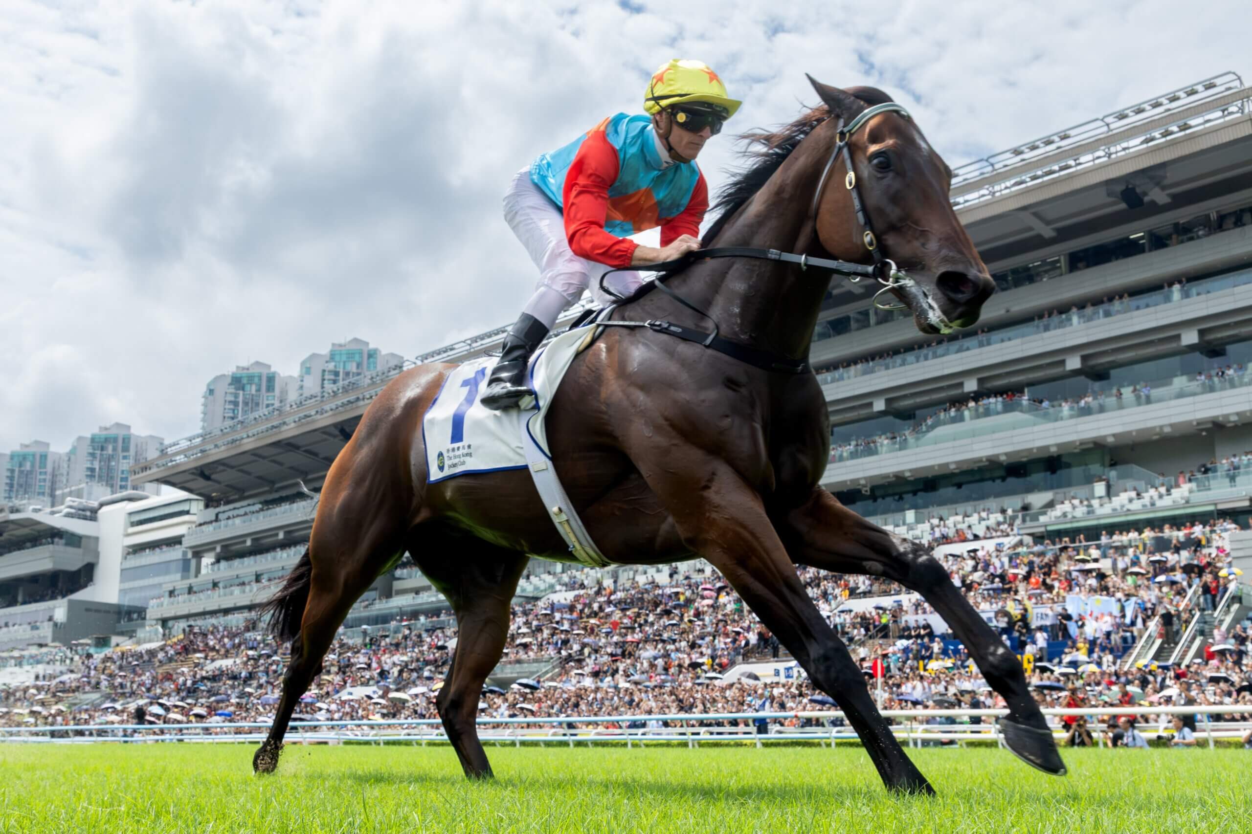 Ka Ying Rising smashed his own track record in the G3 HKSAR Chief Executive's Cup Handicap