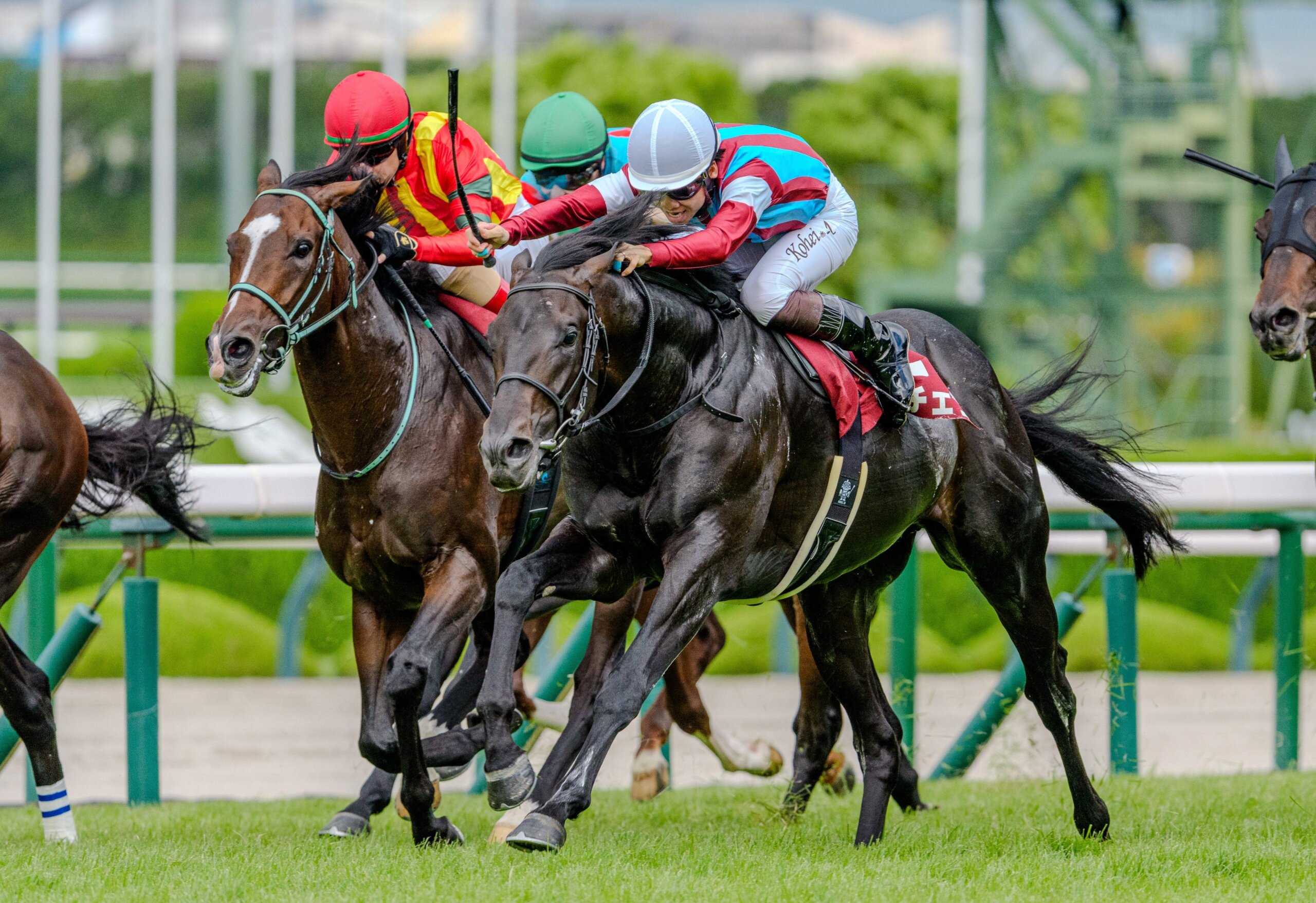 Lovcen wins the 2026 G2 Kobe Shimbun Hai at Hanshin