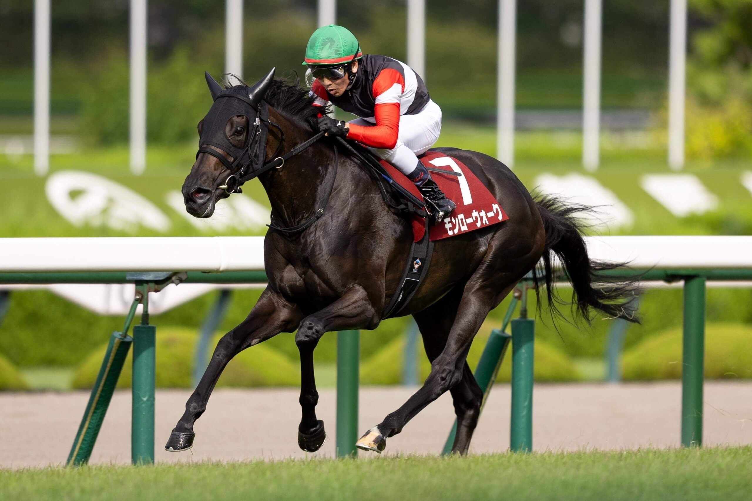 Monroe Walk winning the G2 Rose Stakes