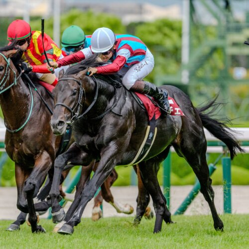 Lovcen wins the 2026 G2 Kobe Shimbun Hai