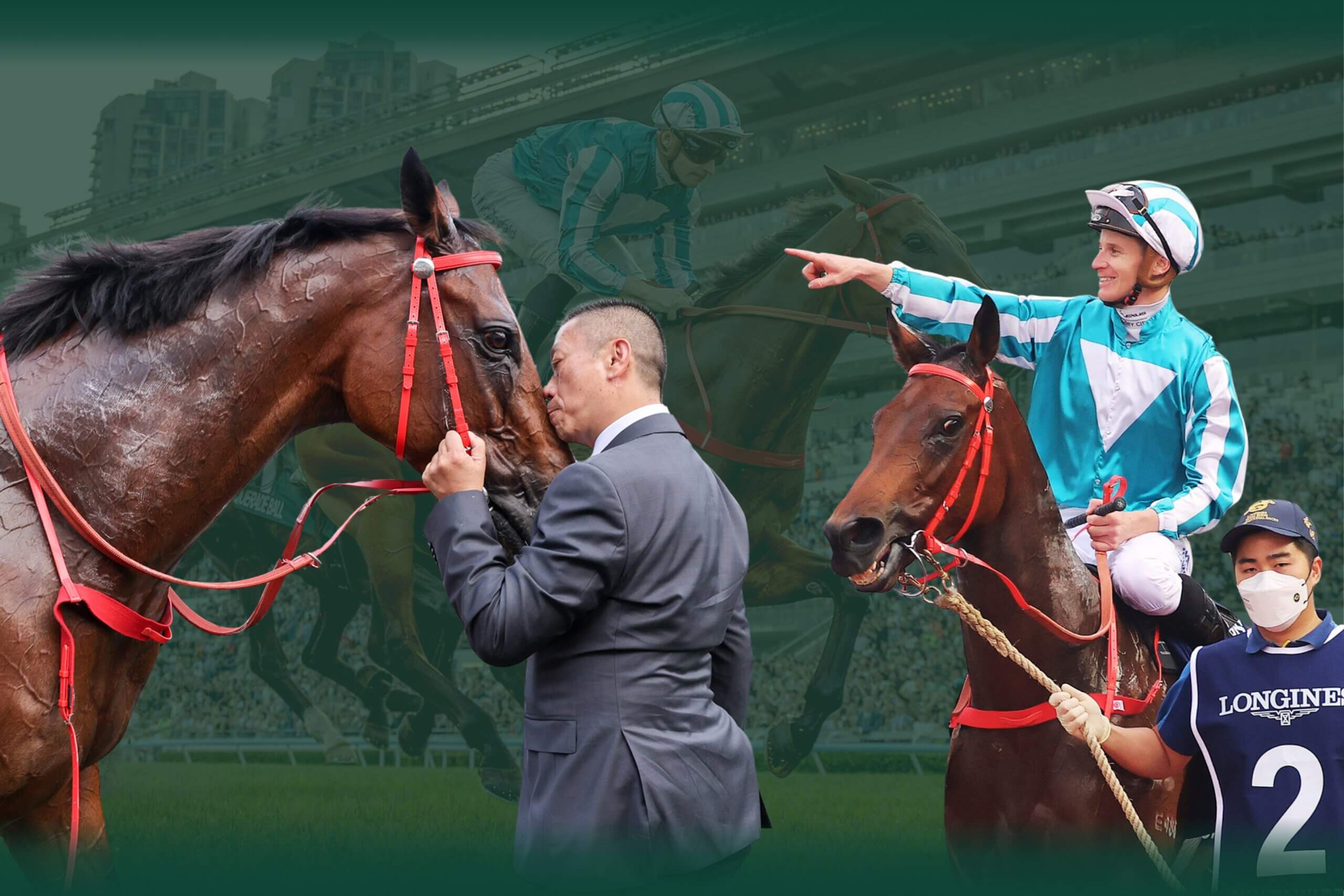Hong Kong champion Romantic Warrior retired
