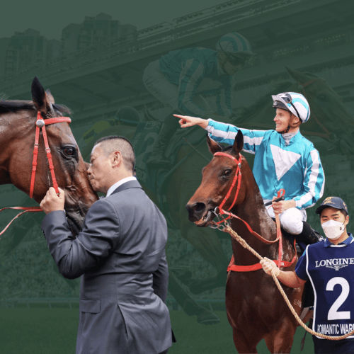 Hong Kong champion Romantic Warrior retired