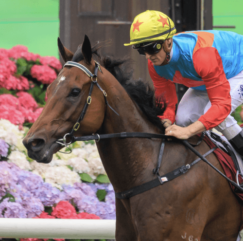 Ka Ying Rising Chairman's Sprint Prize