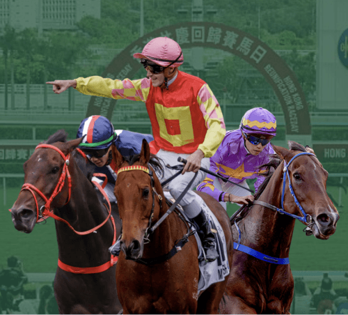 Six Horse to watch in Hong Kong