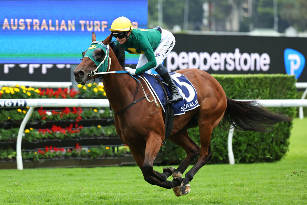 Sheza Alibi winning the Doncaster