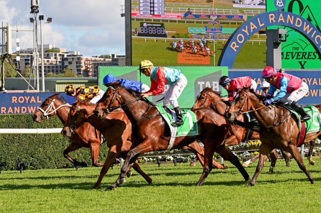 Tempted just prevailed in The Everest over Ka Ying Rising and Joliestar