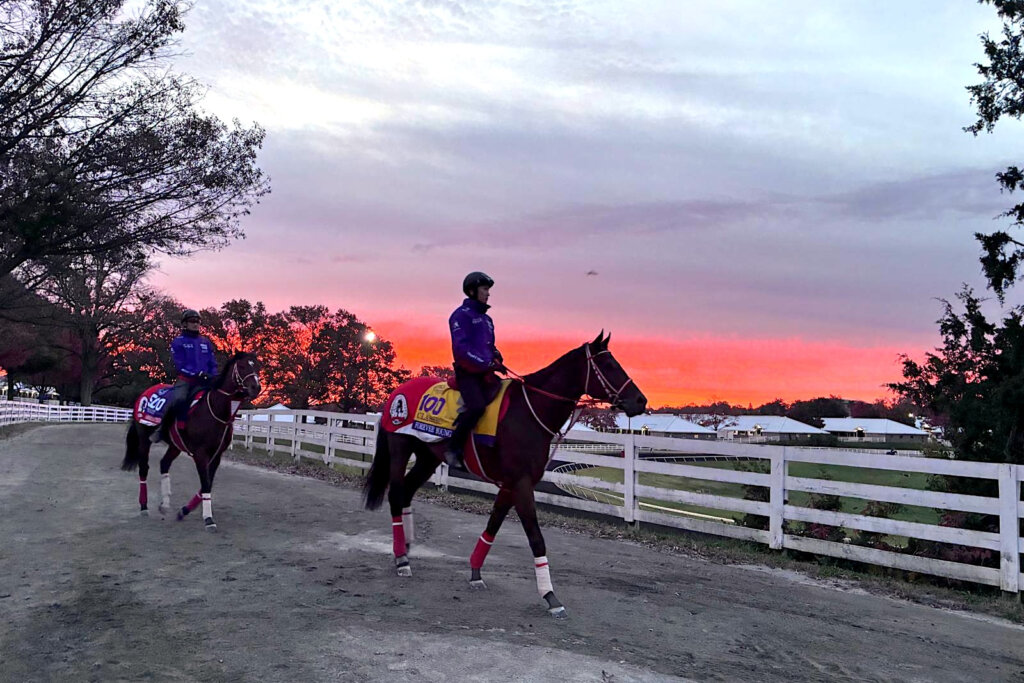 Forever Young at Keeneland ahead of the Breeders' Cup Classic