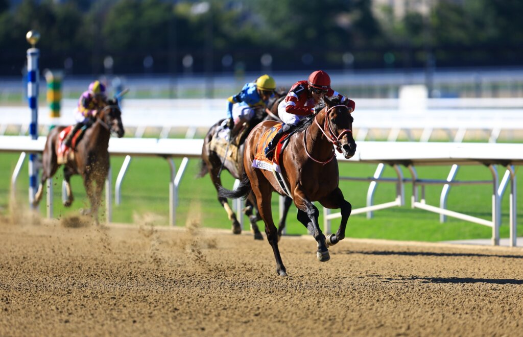 Forever Young winning at Belmont Jockey Club