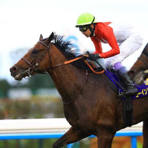 Yutaka Take claims a record sixth G1 Kikuka Sho aboard Going to Sky