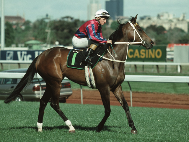 Shane Dye aboard Arborea