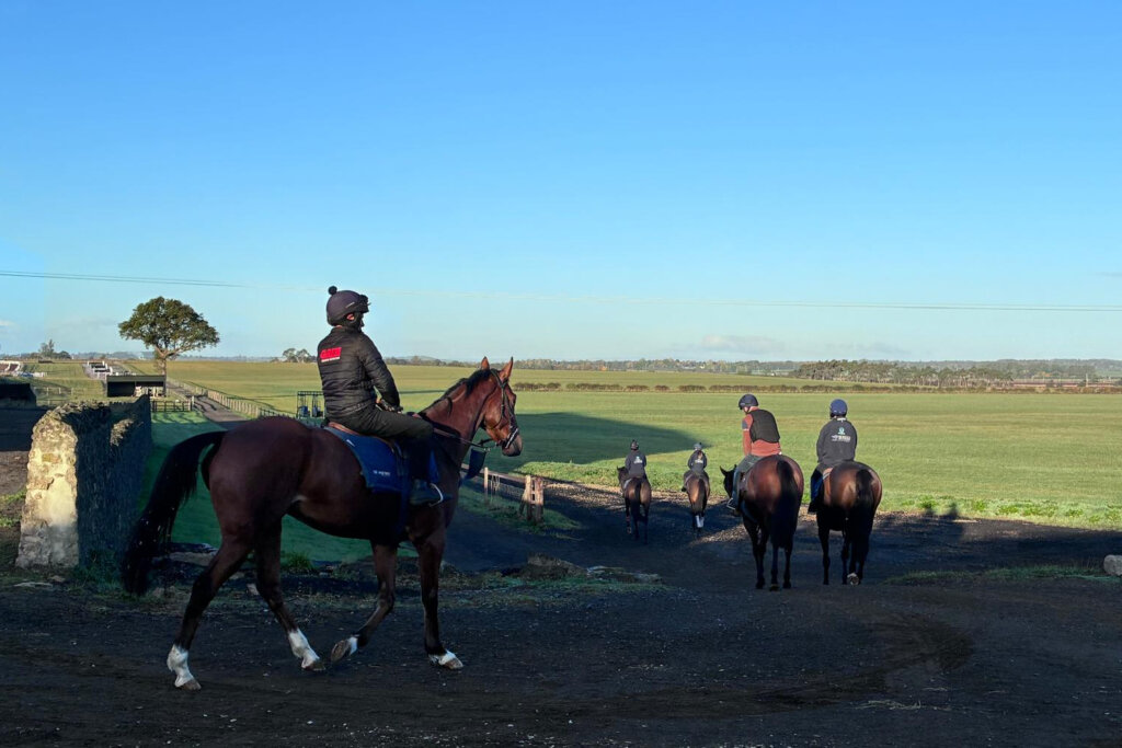 Horses at Howes Hill