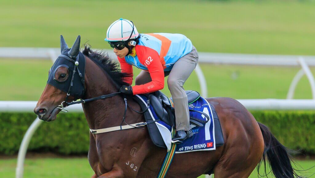Ka Ying Rising working at Canterbury under Roy Ip