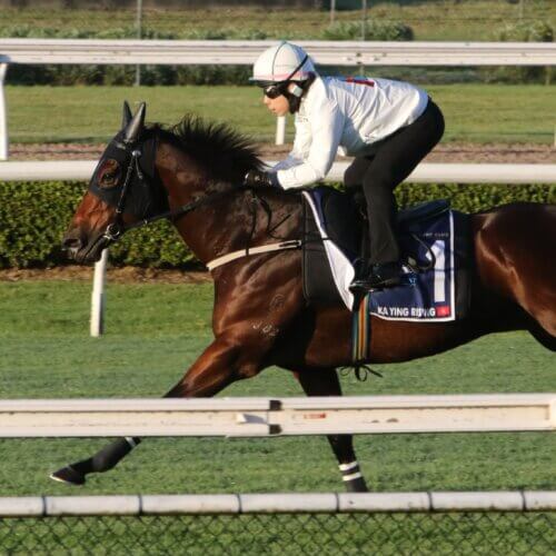 Ka Ying Rising in a gallop ahead of The Everest