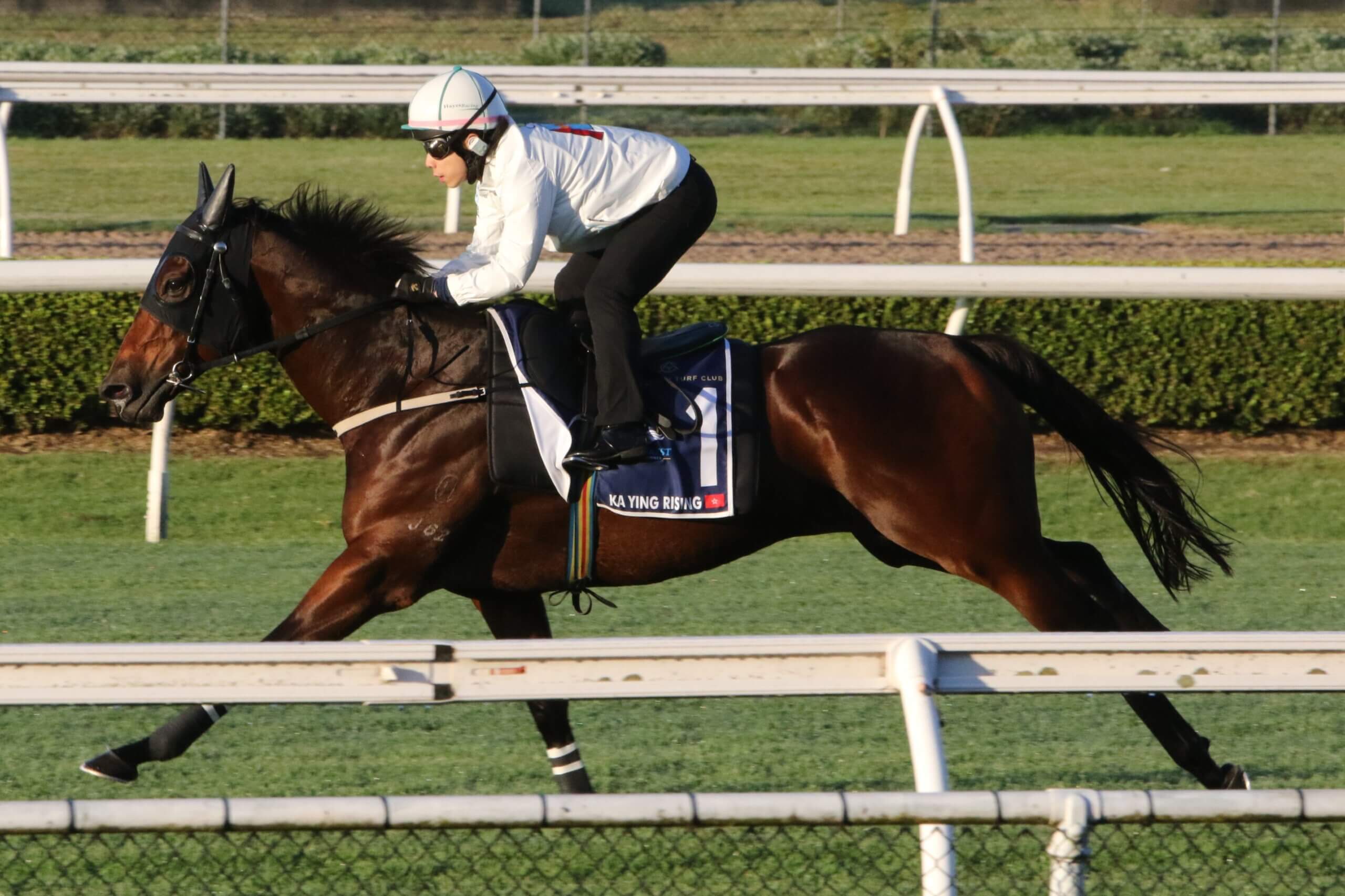 Ka Ying Rising in a gallop ahead of The Everest