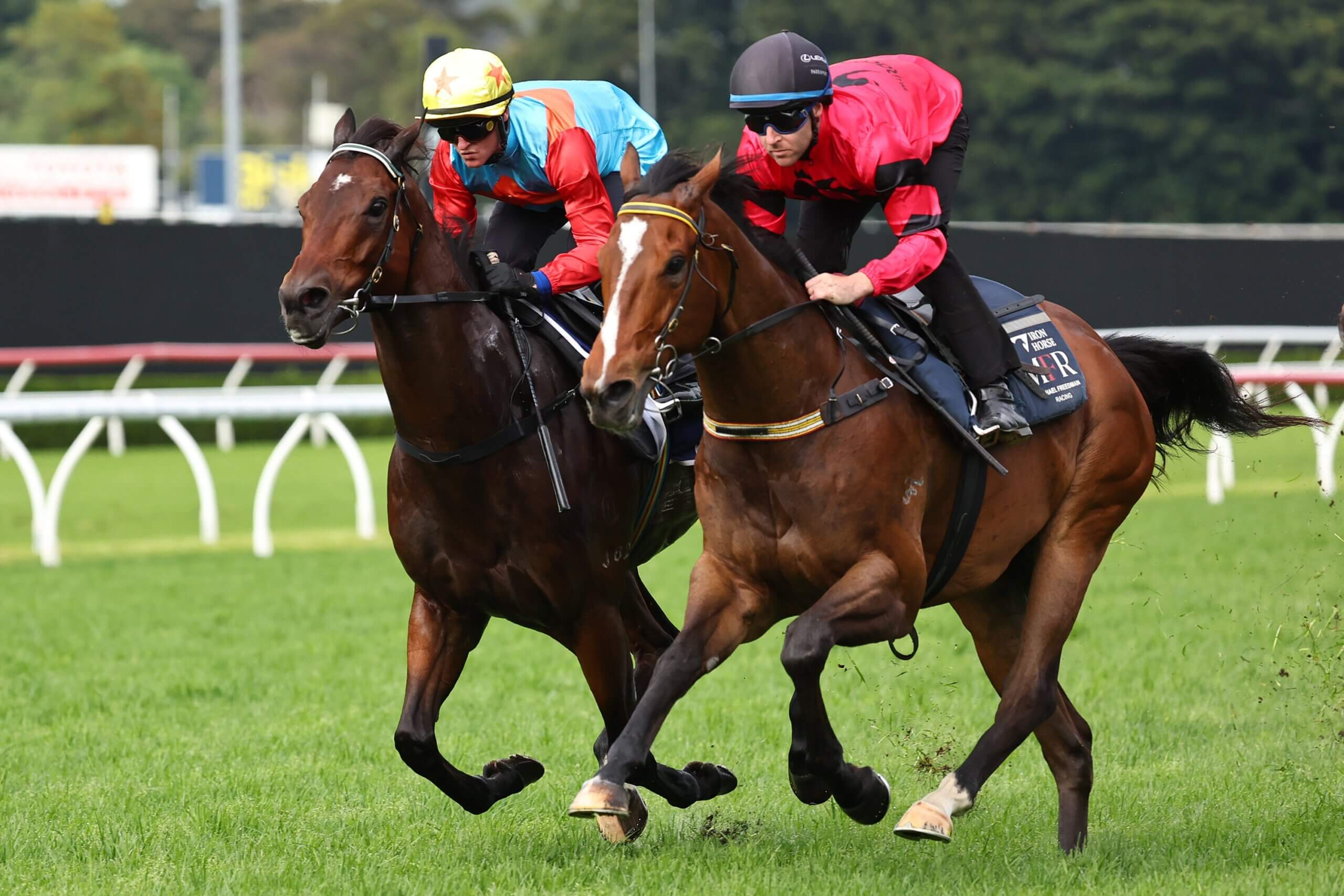 Ninja edging out Ka Ying Rising in a barrier trial at Randwick