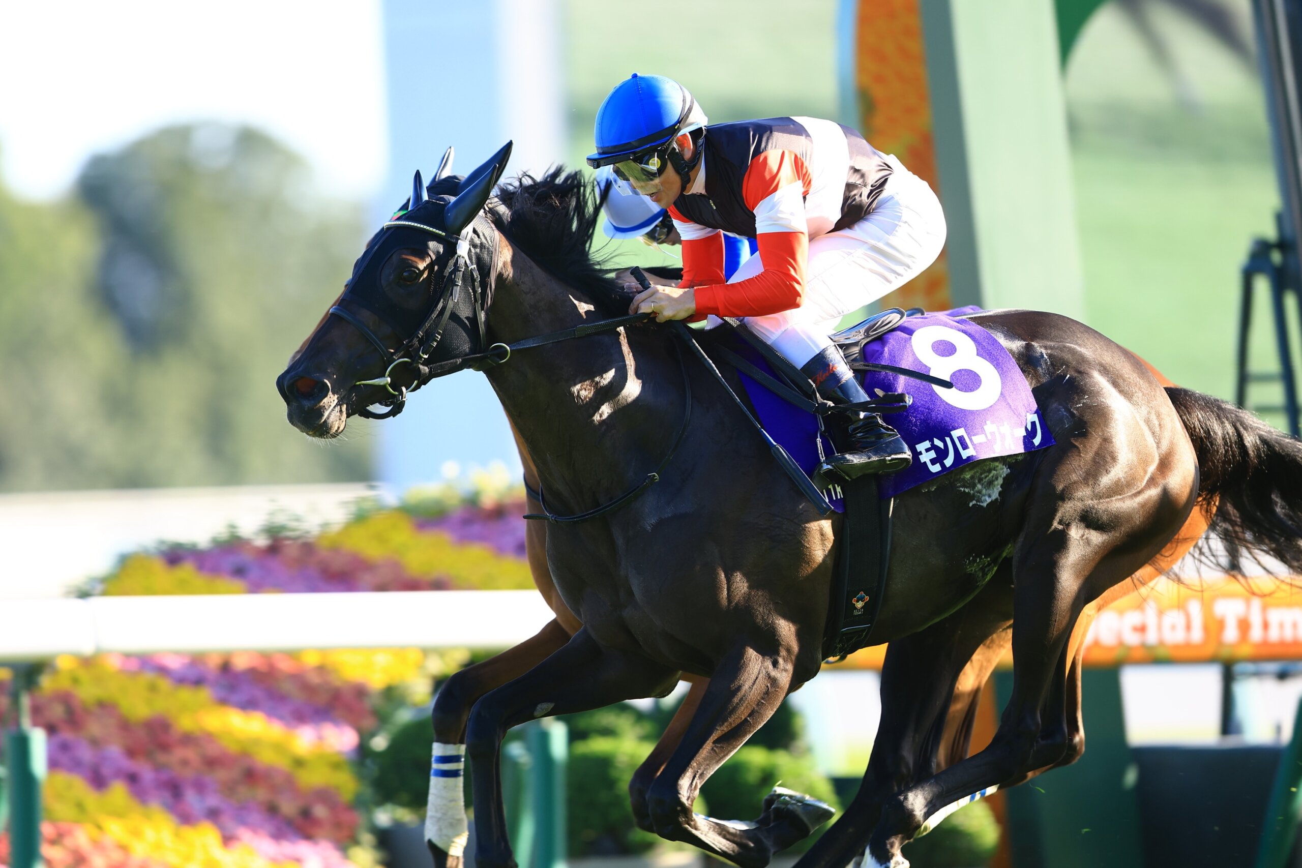 Monroe Walk winning the Shuka Sho under Keita Tosaki