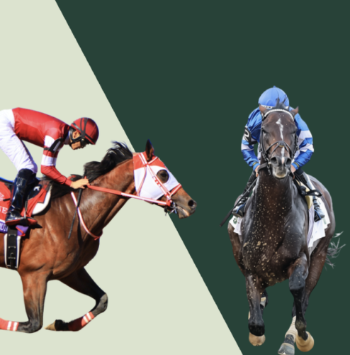 Forever Young and Sovereignty are finally set to clash in the G1 Breeders' Cup Classic in 2026