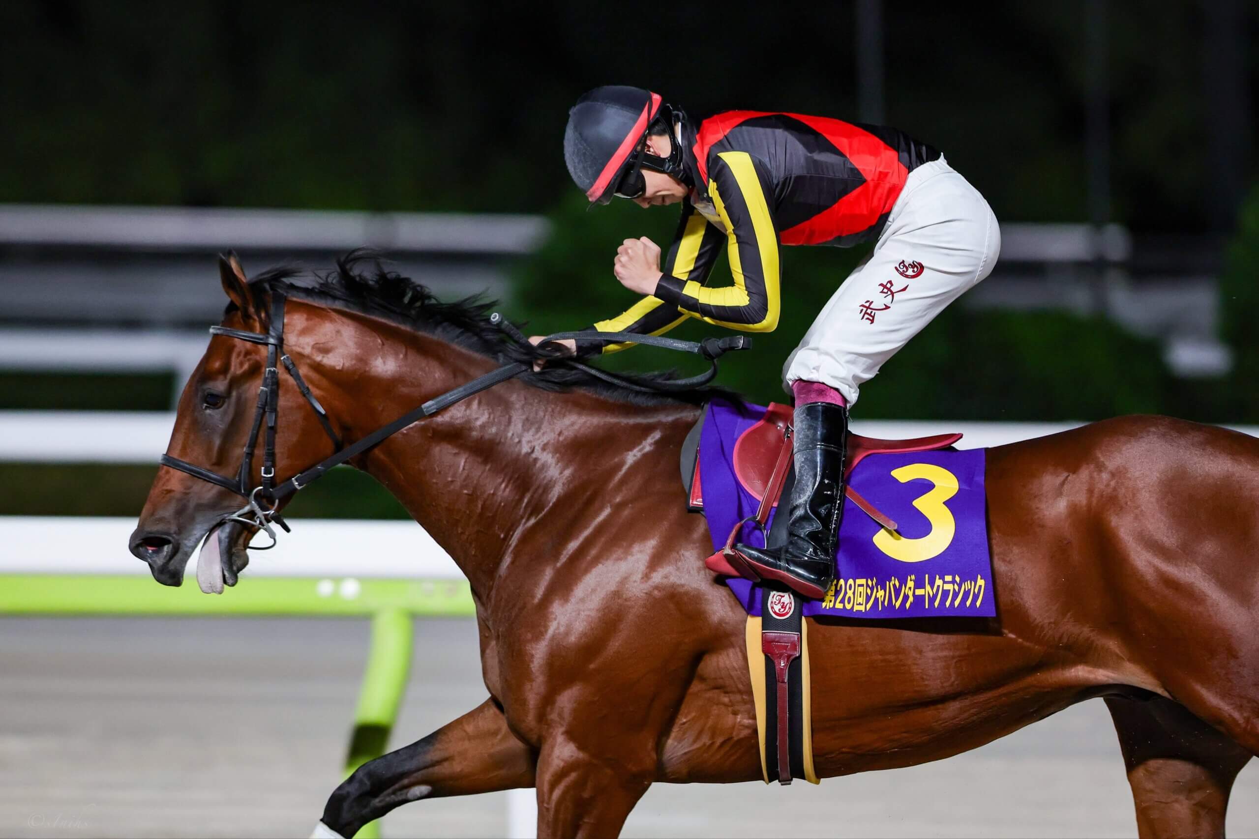 Silver Ratio winning the Japan Dirt Classic